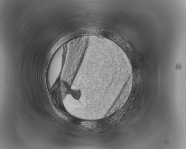 X0000097300051200803141541