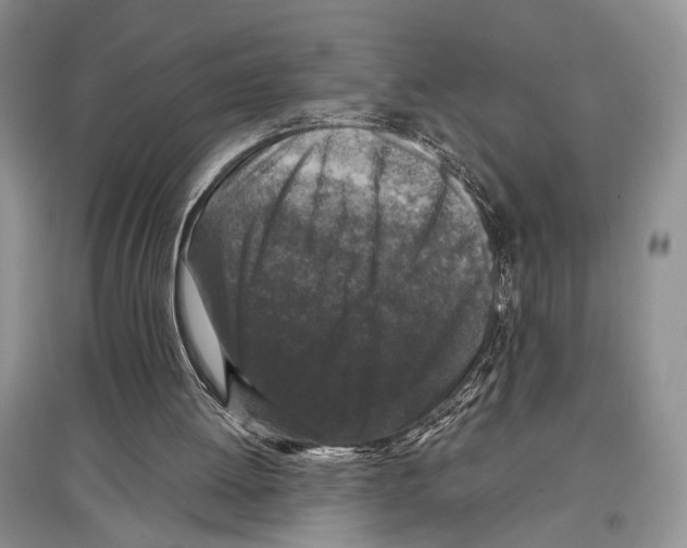 X0000097300052200803141541