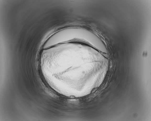 X0000097300053200803141541