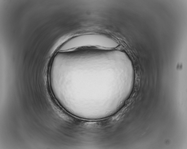 X0000097300054200803141541