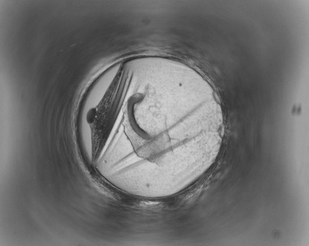 X0000097300055200803141541