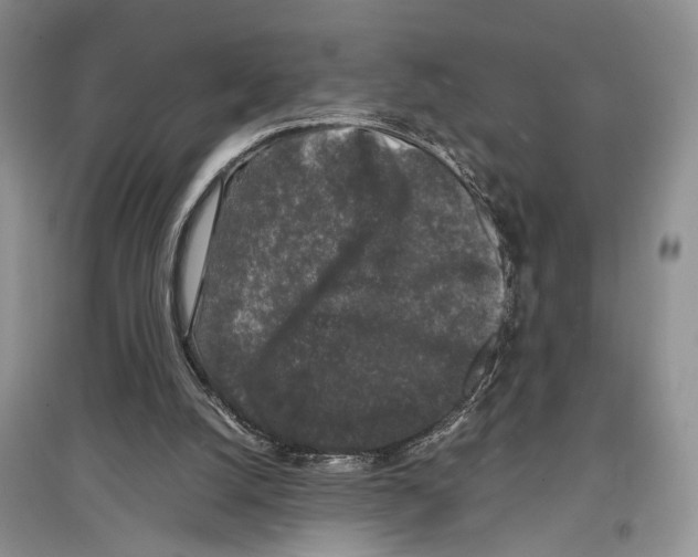 X0000097300056200803141541