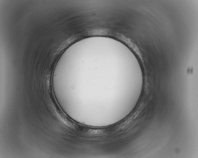 X0000097300057200803141541