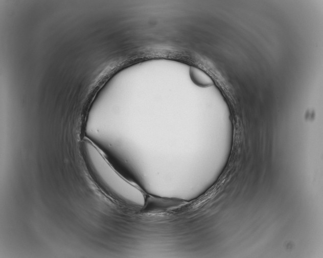 X0000097300058200803141541