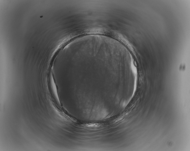 X0000097300059200803141541