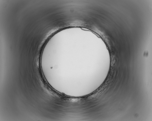 X0000097300060200803141541
