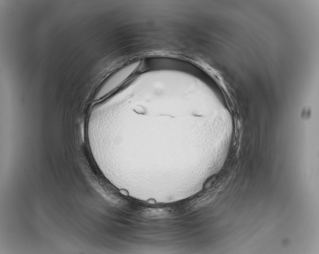 X0000097300061200803141541