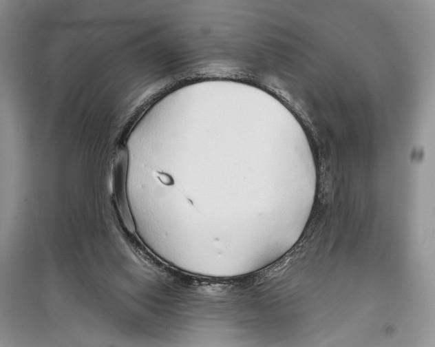 X0000097300062200803141541
