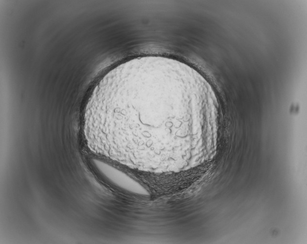 X0000097300063200803141541