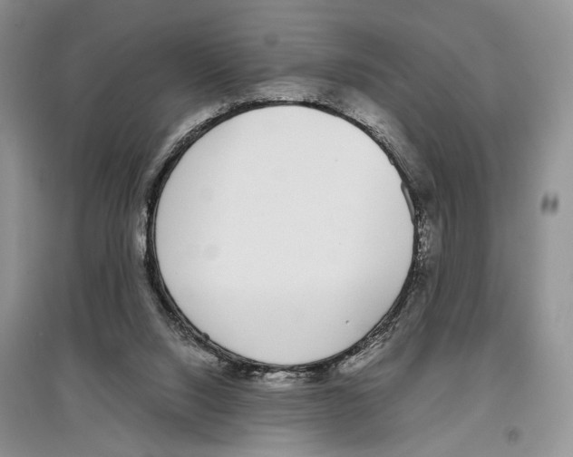 X0000097300064200803141541