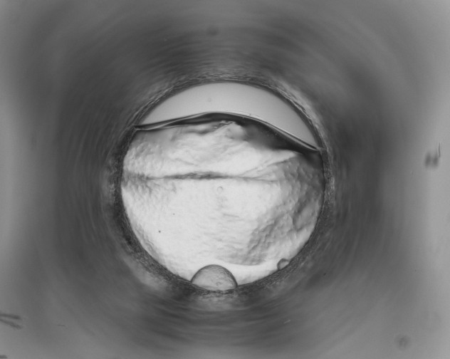 X0000097300065200803141541