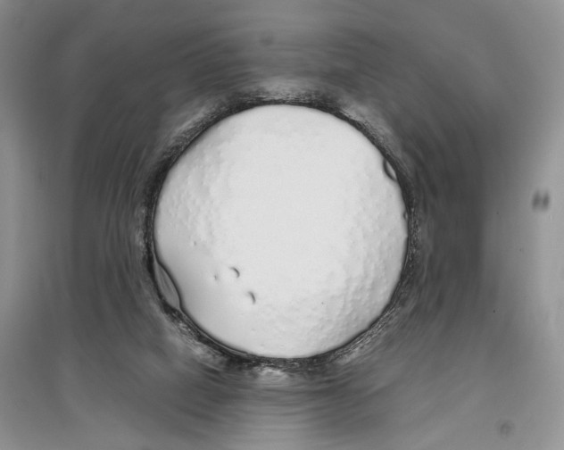 X0000097300066200803141541
