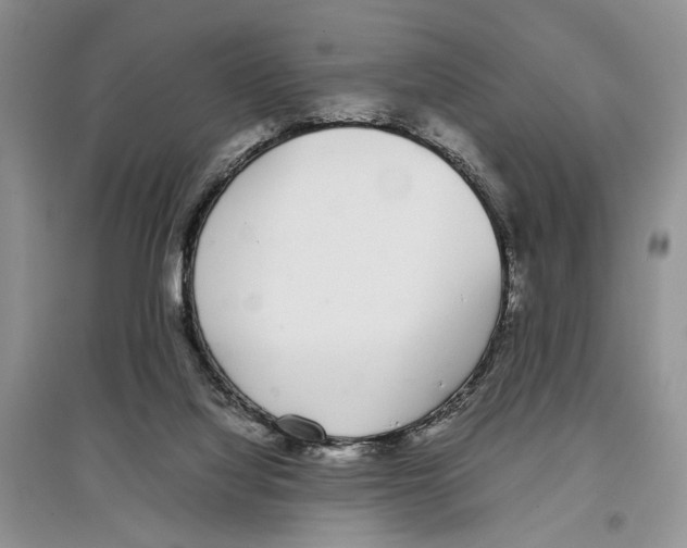 X0000097300068200803141541