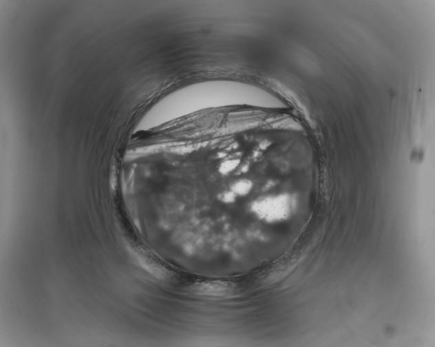 X0000097300069200803141541