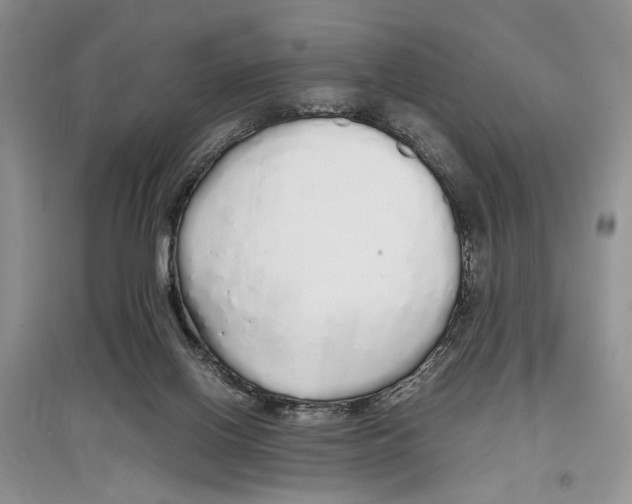 X0000097300070200803141541