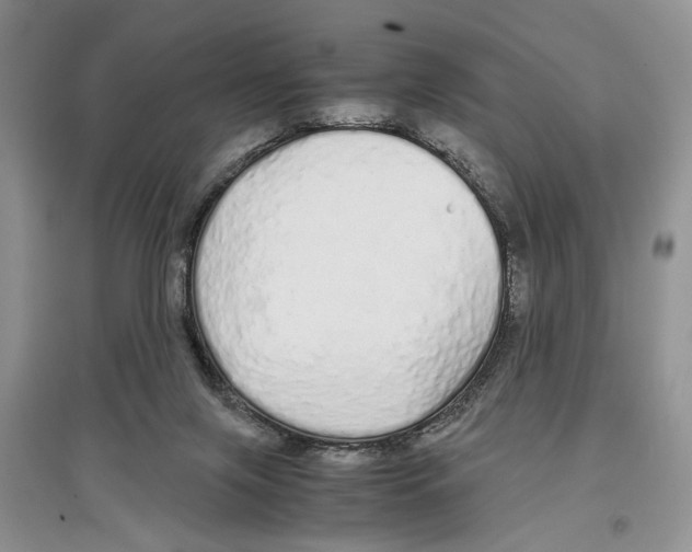 X0000097300071200803141541