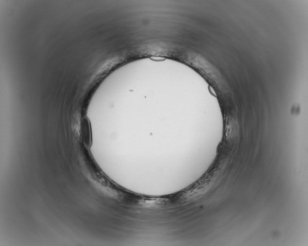 X0000097300072200803141541