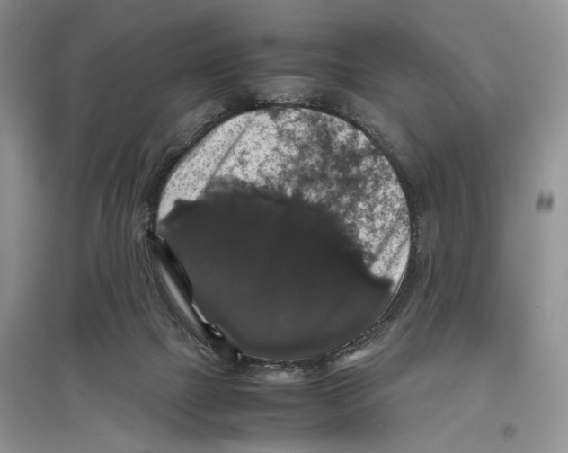 X0000097300073200803141541