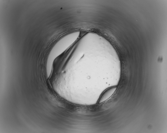 X0000097300074200803141541