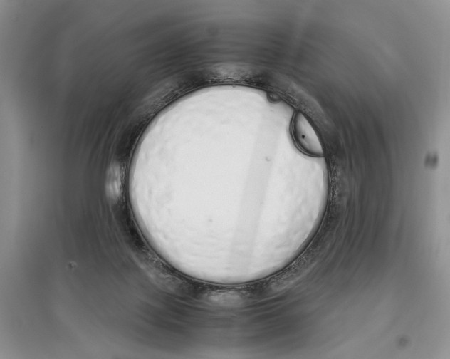 X0000097300075200803141541