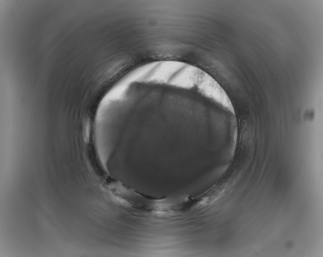 X0000097300076200803141542
