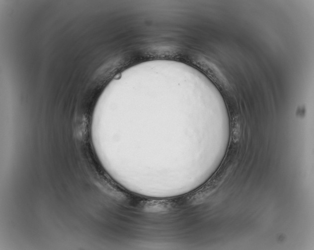 X0000097300077200803141542