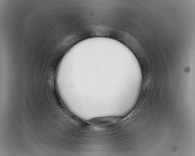 X0000097300078200803141542