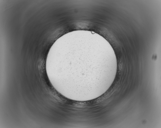 X0000097300079200803141542