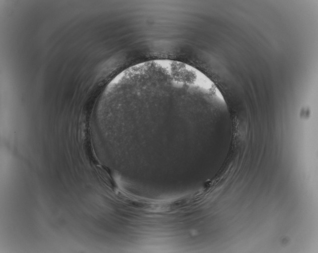 X0000097300080200803141542