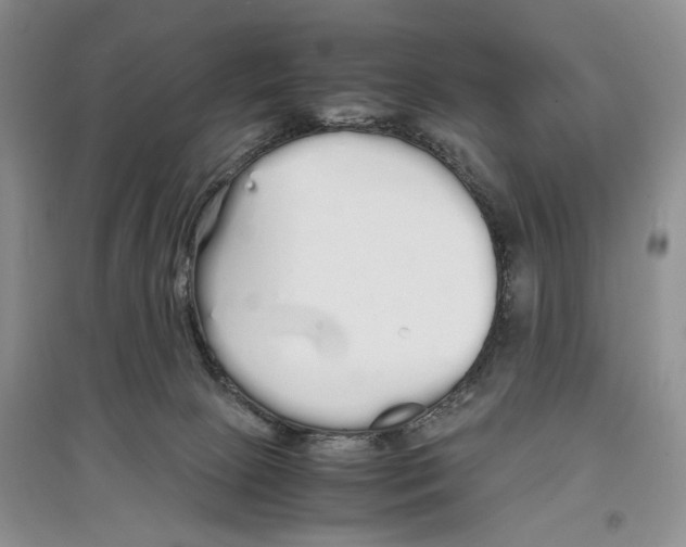 X0000097300081200803141542
