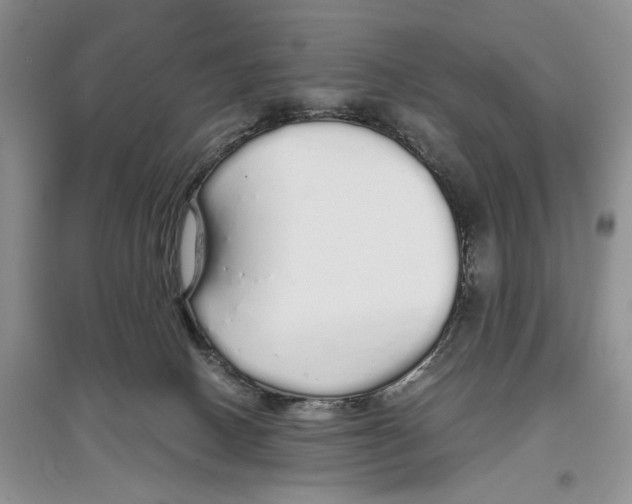 X0000097300082200803141542