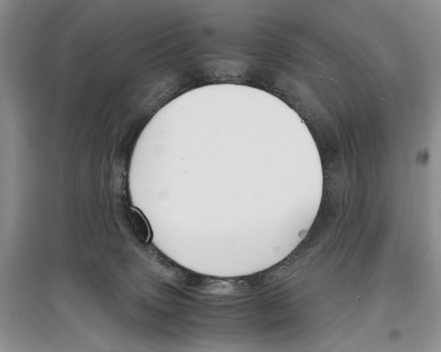 X0000097300083200803141542