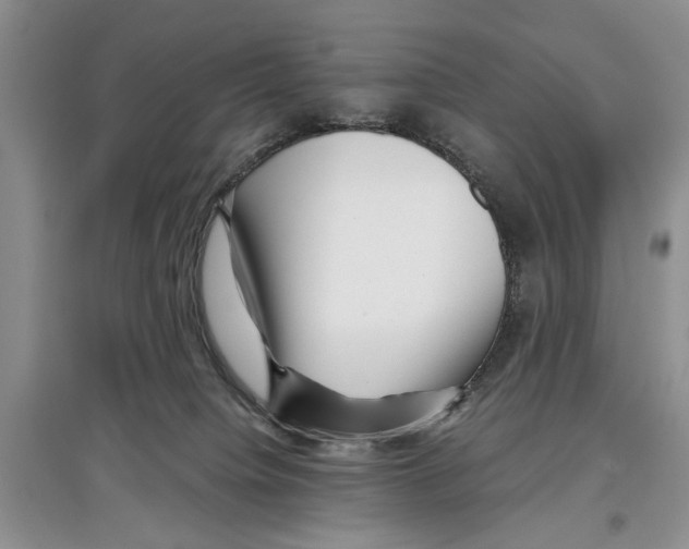 X0000097300084200803141542