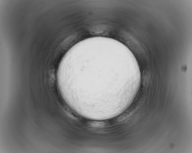 X0000097300085200803141542