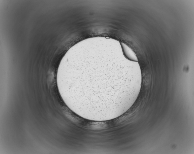 X0000097300087200803141542