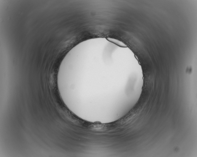 X0000097300088200803141542