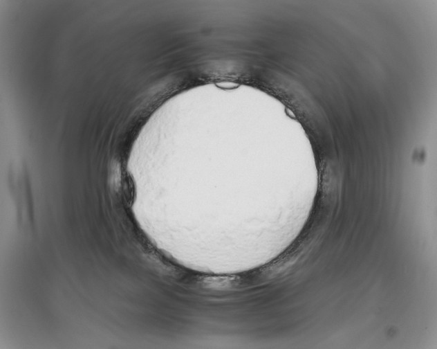 X0000097300089200803141542