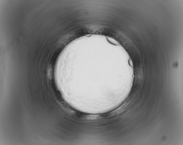 X0000097300090200803141542