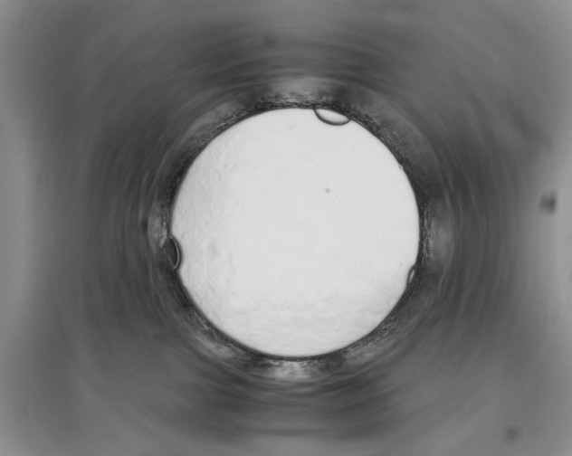X0000097300091200803141542