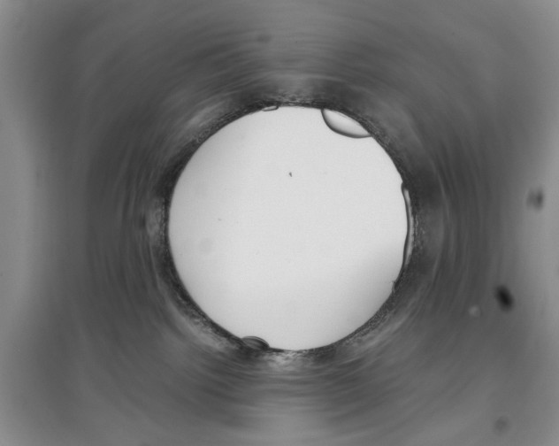 X0000097300092200803141542