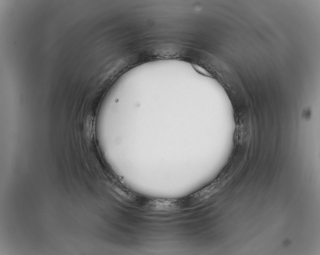 X0000097300093200803141542
