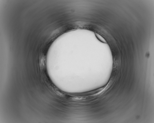 X0000097300094200803141542