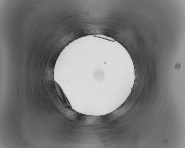 X0000097300096200803141542