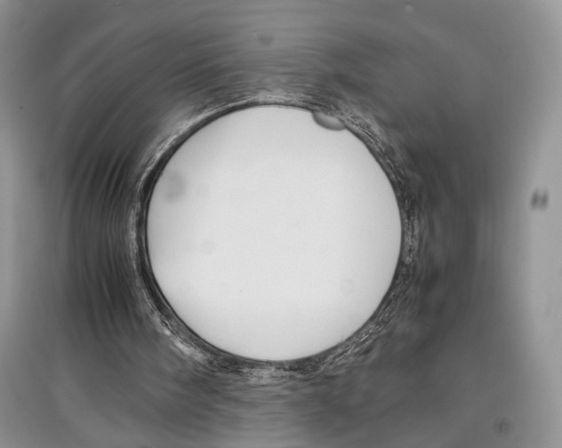 X0000097300098200803141541