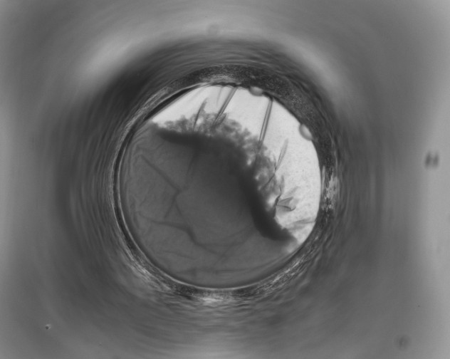 X0000097300099200803141541