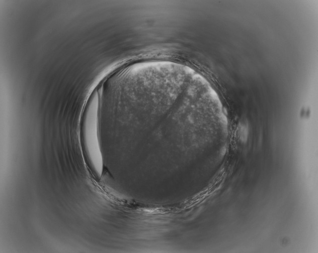 X0000097300100200803141541