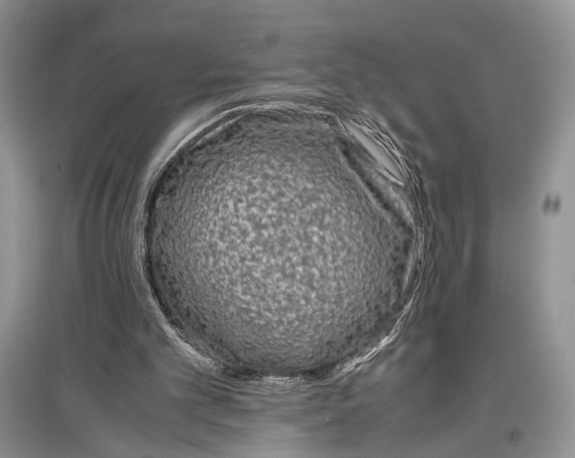 X0000097300101200803141541