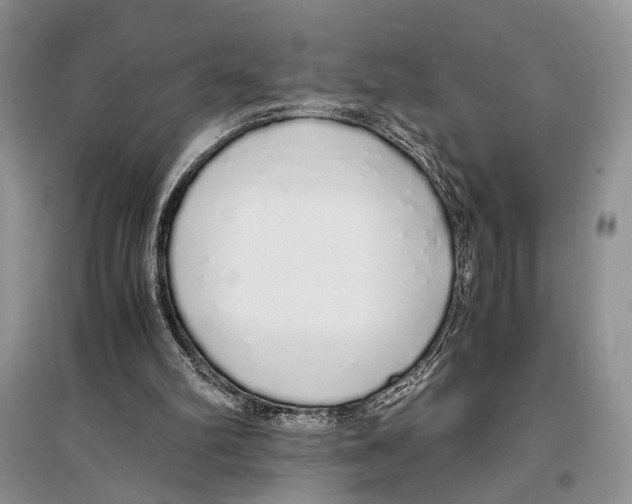 X0000097300102200803141541
