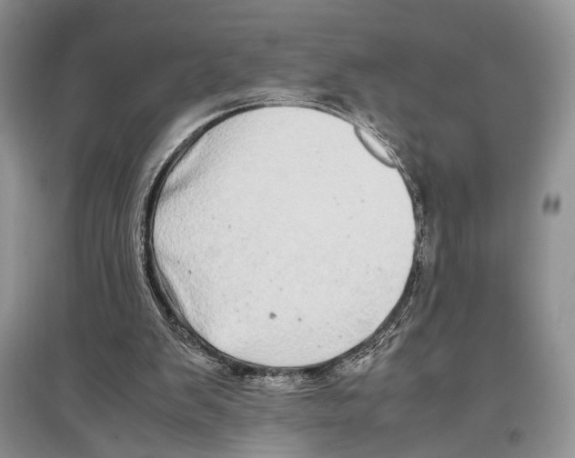 X0000097300103200803141541