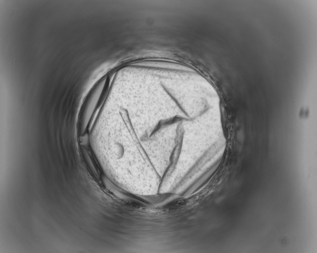 X0000097300104200803141541